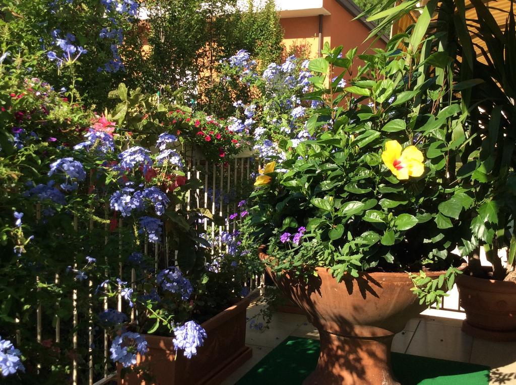 Hotel Donatello Cesenatico Eksteriør bilde